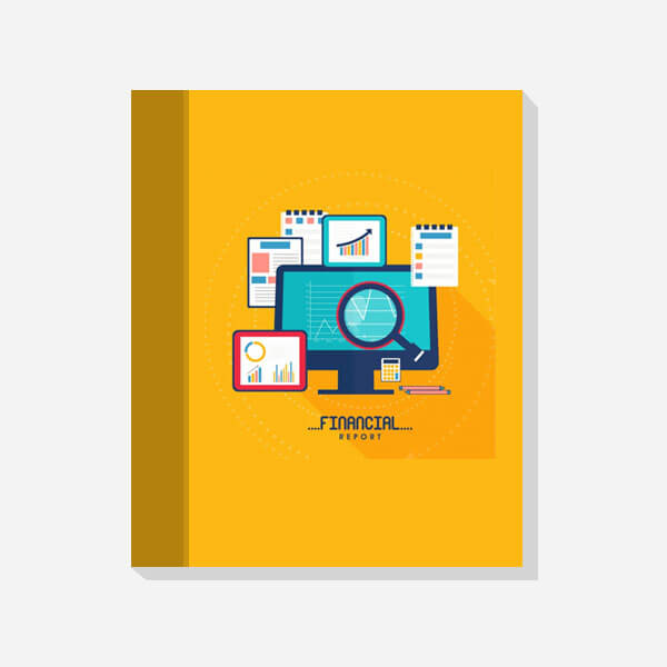 Finance Report